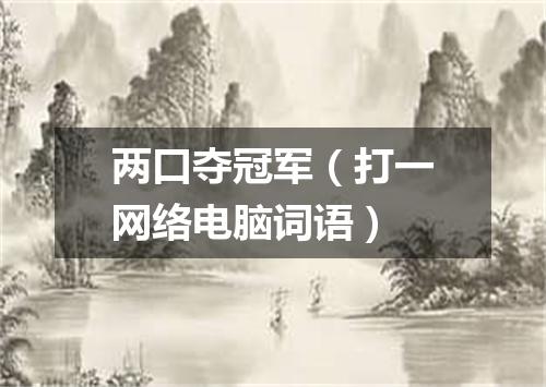 两口夺冠军（打一网络电脑词语）