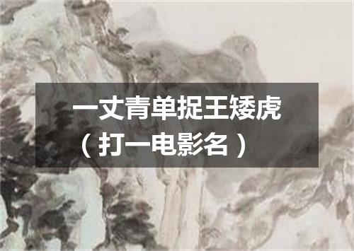 一丈青单捉王矮虎（打一电影名）