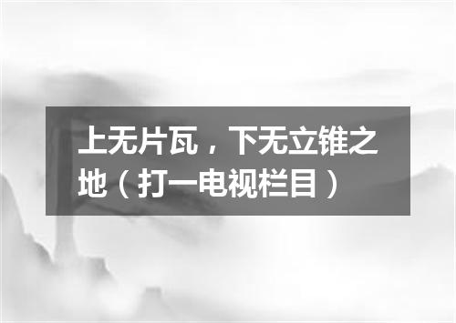 上无片瓦，下无立锥之地（打一电视栏目）