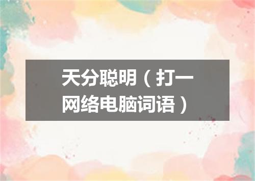 天分聪明（打一网络电脑词语）