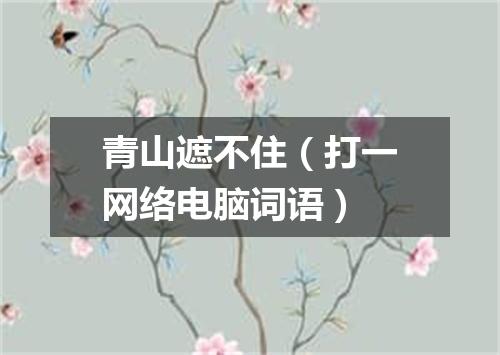青山遮不住（打一网络电脑词语）