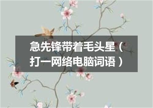 急先锋带着毛头星（打一网络电脑词语）