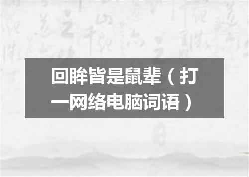 回眸皆是鼠辈（打一网络电脑词语）