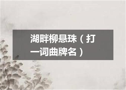 湖畔柳悬珠（打一词曲牌名）