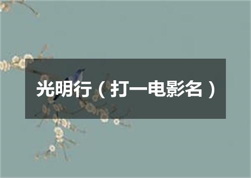 光明行（打一电影名）