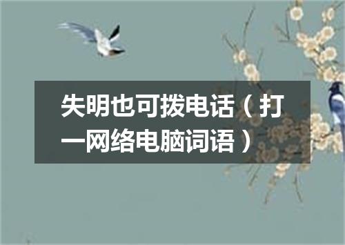 失明也可拨电话（打一网络电脑词语）