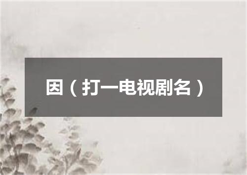 因（打一电视剧名）