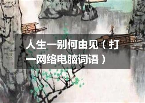 人生一别何由见（打一网络电脑词语）