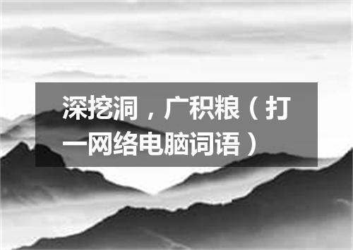 深挖洞，广积粮（打一网络电脑词语）