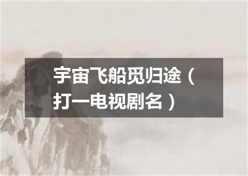 宇宙飞船觅归途（打一电视剧名）