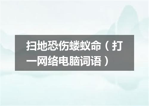 扫地恐伤蝼蚁命（打一网络电脑词语）
