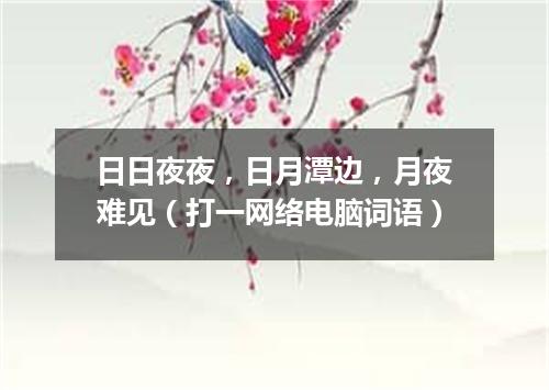 日日夜夜，日月潭边，月夜难见（打一网络电脑词语）