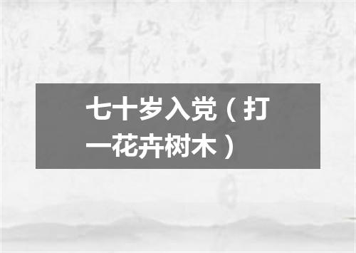 七十岁入党（打一花卉树木）