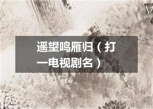 遥望鸣雁归（打一电视剧名）