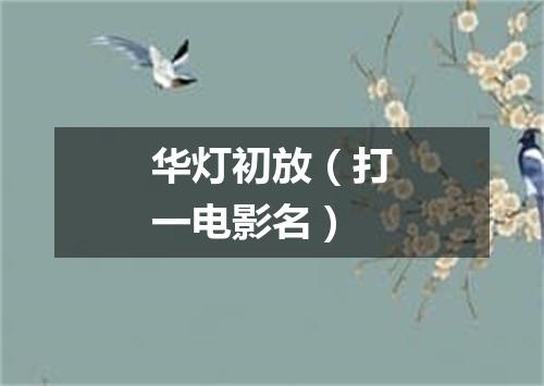华灯初放（打一电影名）