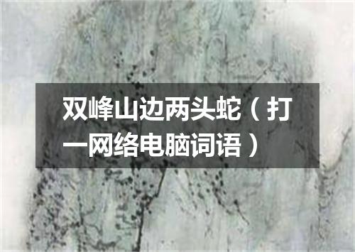 双峰山边两头蛇（打一网络电脑词语）