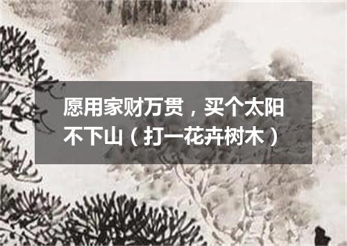 愿用家财万贯，买个太阳不下山（打一花卉树木）