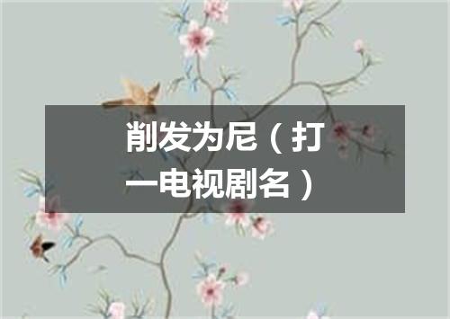 削发为尼（打一电视剧名）
