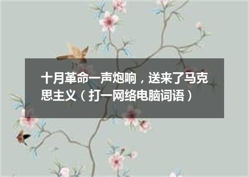 十月革命一声炮响，送来了马克思主义（打一网络电脑词语）