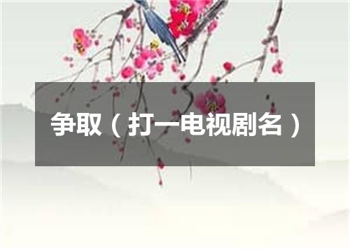 争取（打一电视剧名）