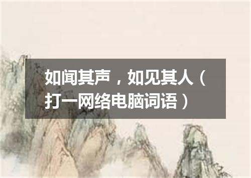 如闻其声，如见其人（打一网络电脑词语）