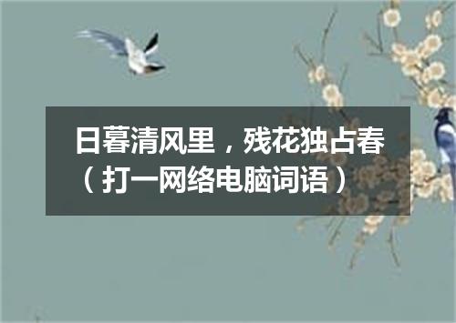日暮清风里，残花独占春（打一网络电脑词语）