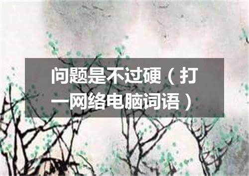 问题是不过硬（打一网络电脑词语）