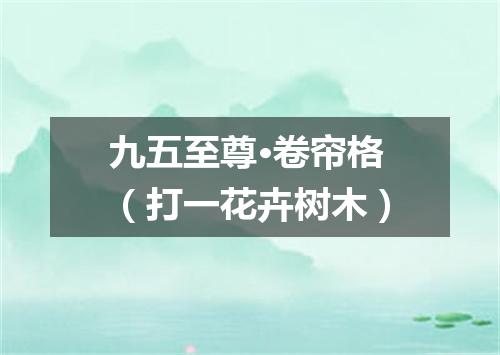 九五至尊·卷帘格（打一花卉树木）