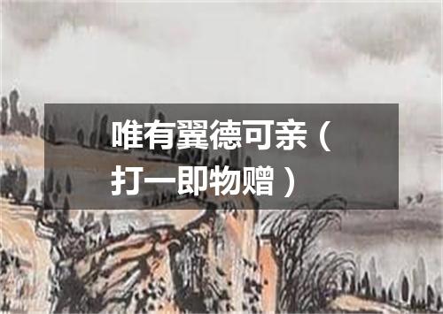 唯有翼德可亲（打一即物赠）