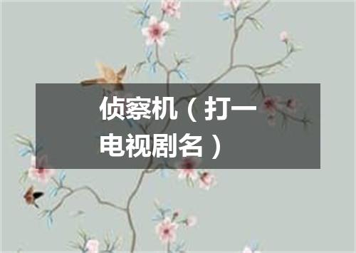 侦察机（打一电视剧名）