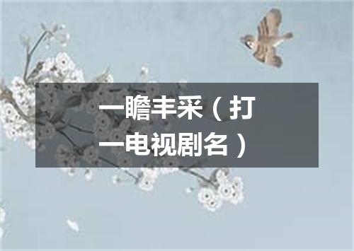 一瞻丰采（打一电视剧名）