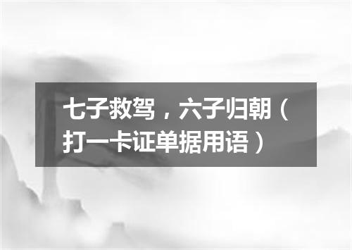 七子救驾，六子归朝（打一卡证单据用语）