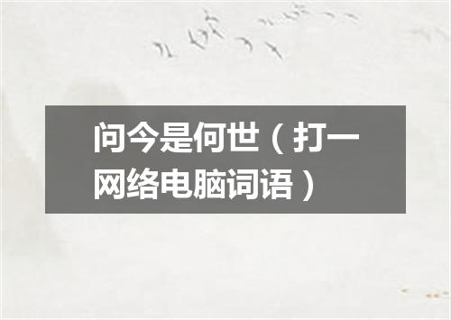 问今是何世（打一网络电脑词语）