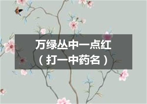万绿丛中一点红（打一中药名）