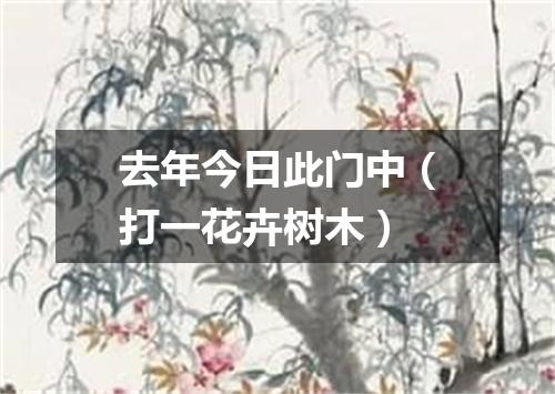 去年今日此门中（打一花卉树木）