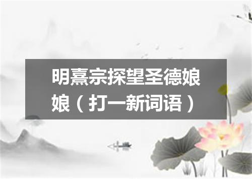 明熹宗探望圣德娘娘（打一新词语）