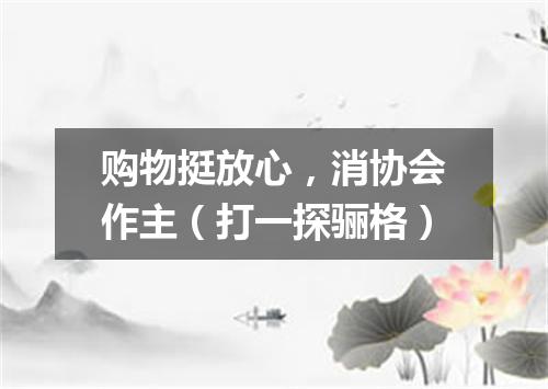 购物挺放心，消协会作主（打一探骊格）