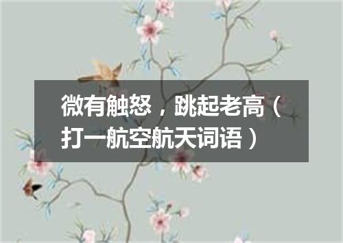微有触怒，跳起老高（打一航空航天词语）