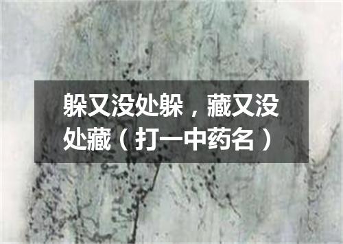 躲又没处躲，藏又没处藏（打一中药名）