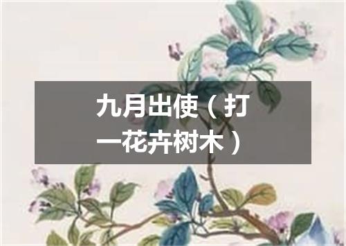 九月出使（打一花卉树木）