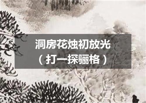 洞房花烛初放光（打一探骊格）