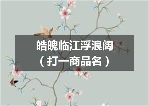皓魄临江浮浪阔（打一商品名）
