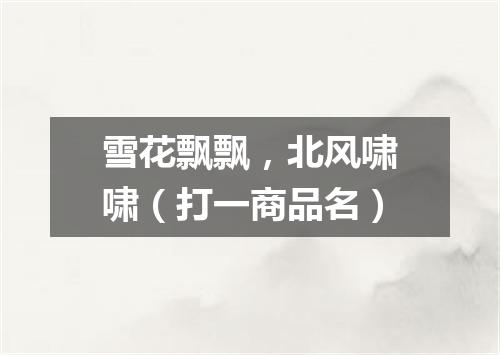 雪花飘飘，北风啸啸（打一商品名）