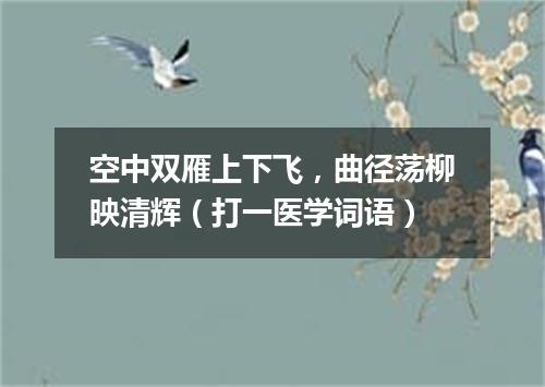 空中双雁上下飞，曲径荡柳映清辉（打一医学词语）