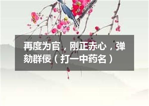 再度为官，刚正赤心，弹劾群佞（打一中药名）