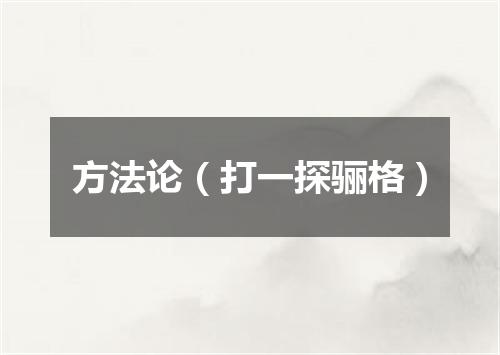 方法论（打一探骊格）