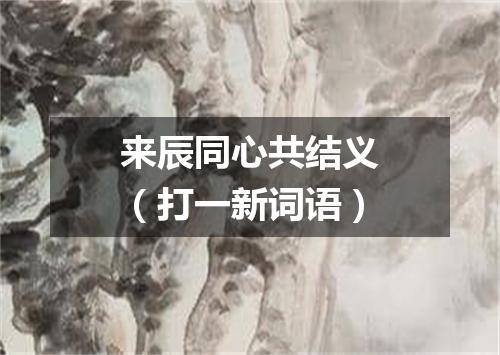 来辰同心共结义（打一新词语）