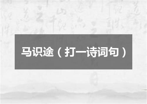 马识途（打一诗词句）
