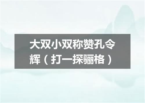大双小双称赞孔令辉（打一探骊格）