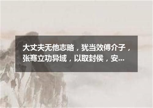 大丈夫无他志略，犹当效傅介子，张骞立功异域，以取封侯，安能久事笔砚间乎?（打一探骊格）